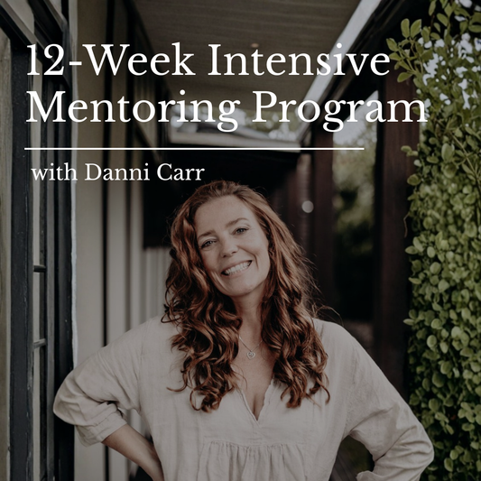 12-Week Intensive Mentoring Program